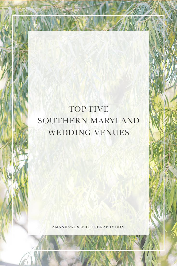 southern maryland wedding photographer