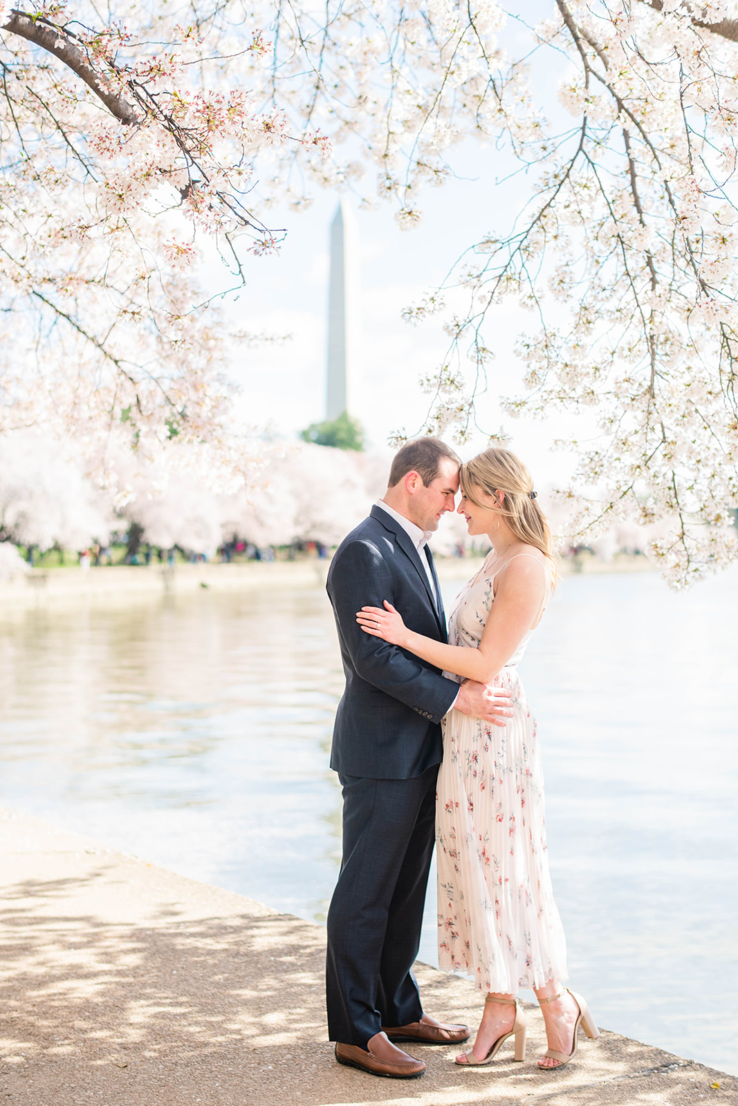 dc cherry blossom engagement portraits at the tidal basin
