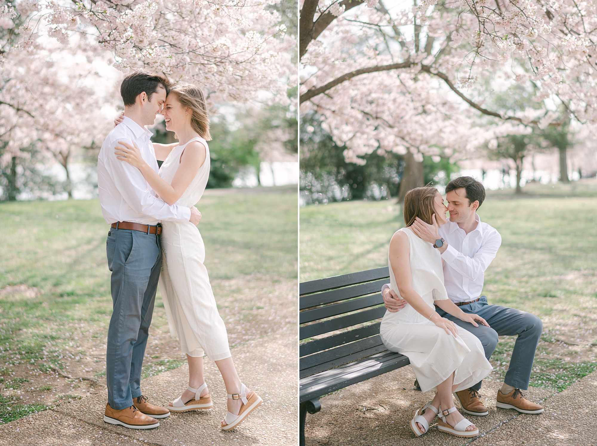 engaged couple hugs under cherry blossoms in Washington DC