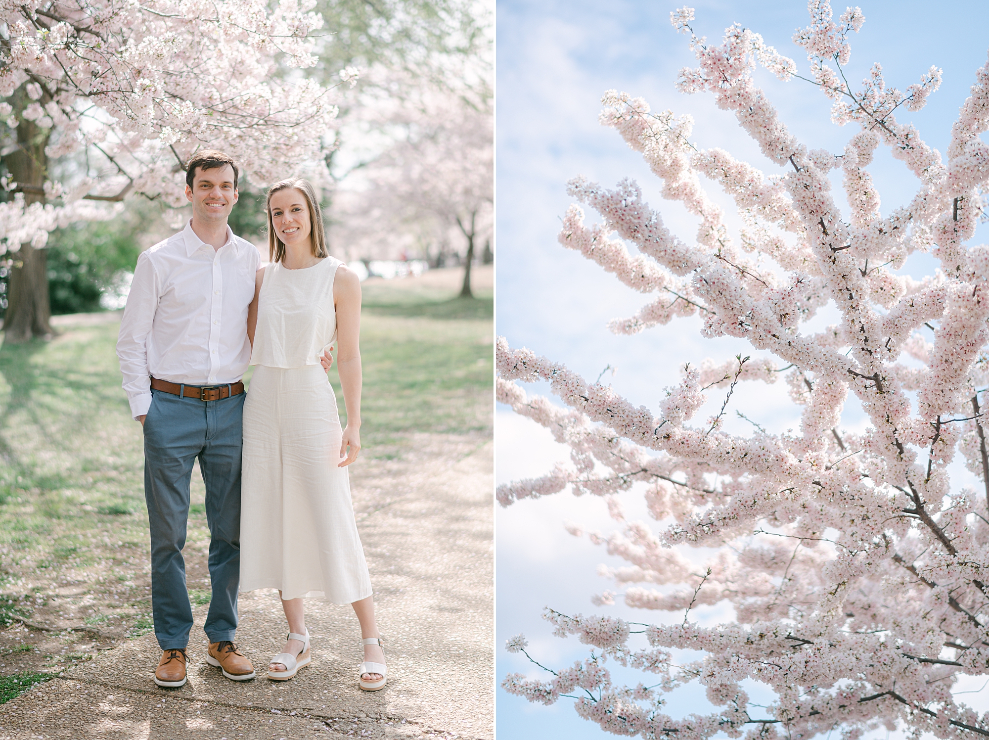 engaged couple hugs on walkway during DC cherry blossom engagement photos