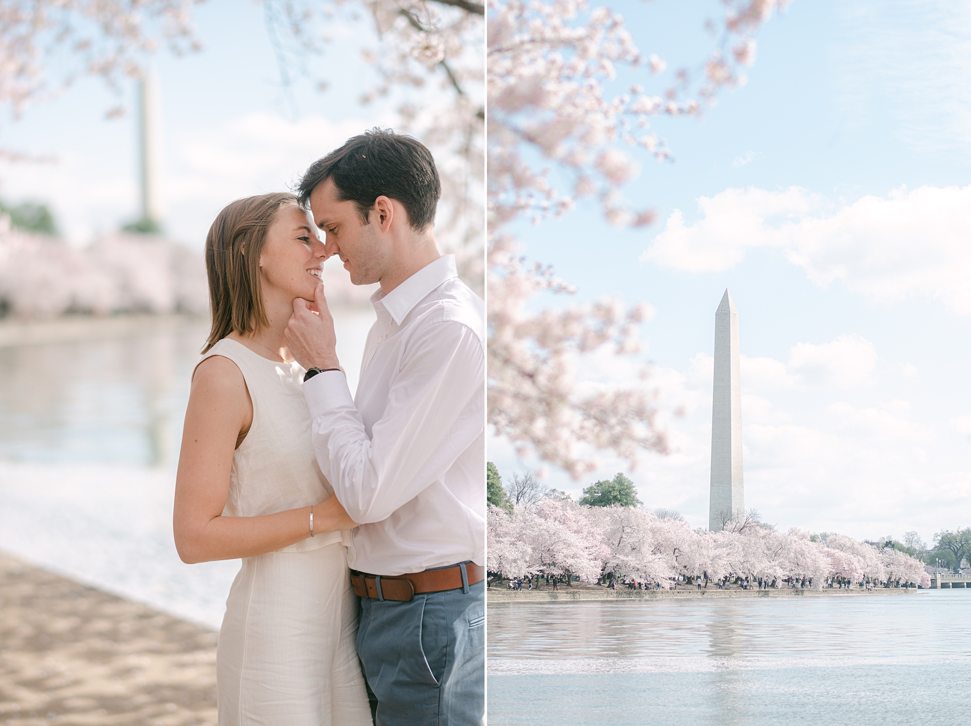engaged couple leans together kissing during DC cherry blossom engagement photos