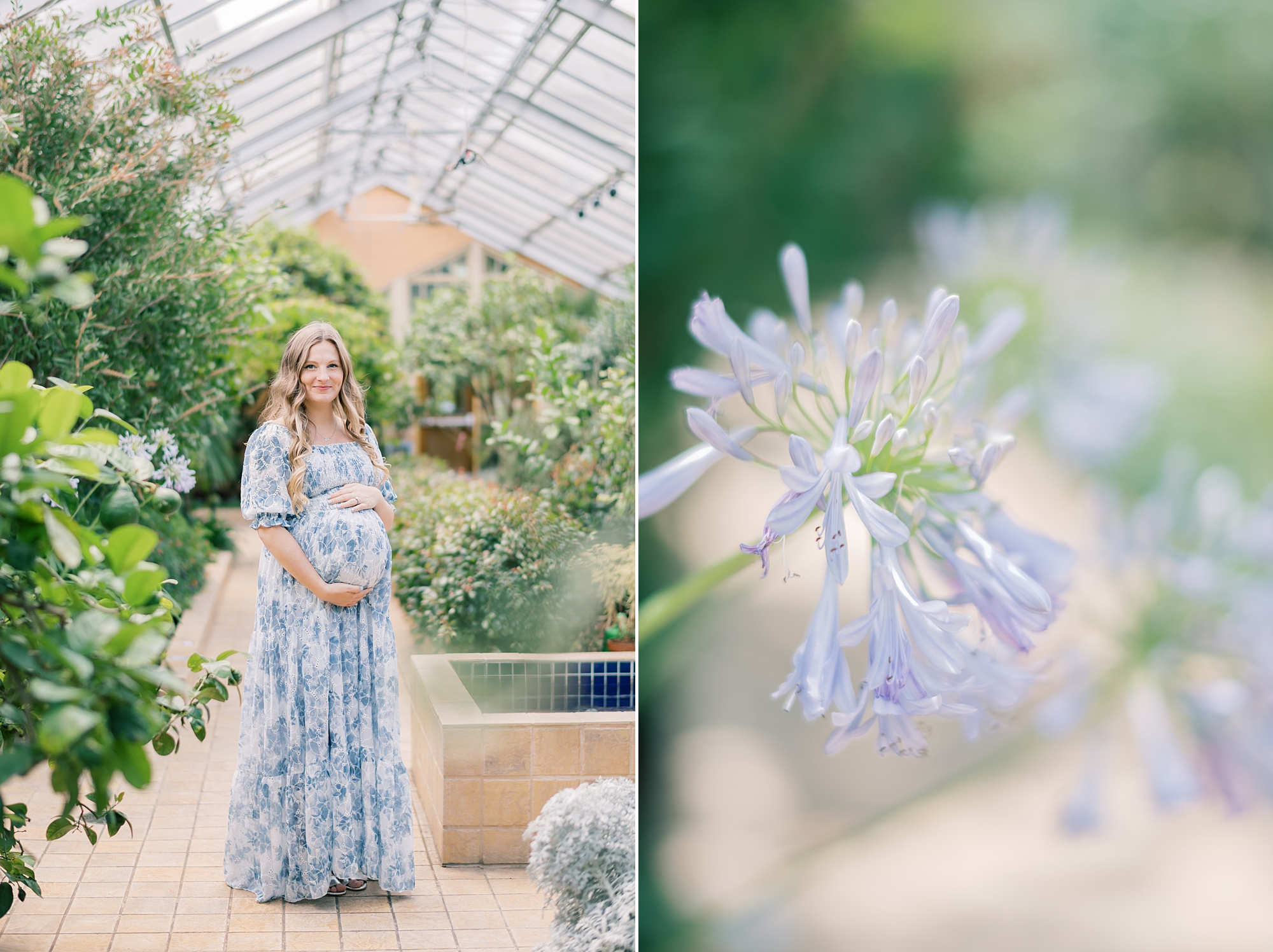 mother poses in blue and white dress during Rawlings Conservatory maternity portraits 