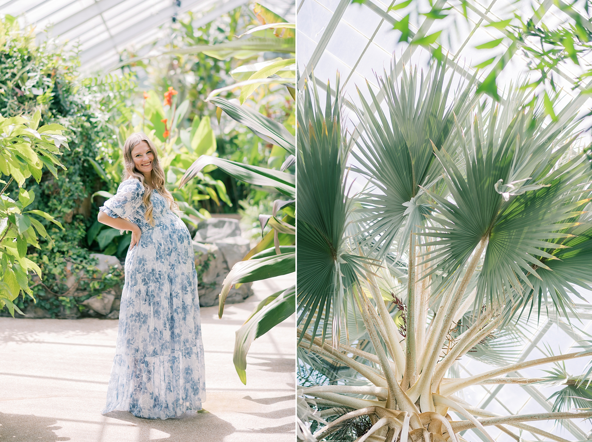 mom holds baby bump standing between trees in greenhouse in Baltimore MD