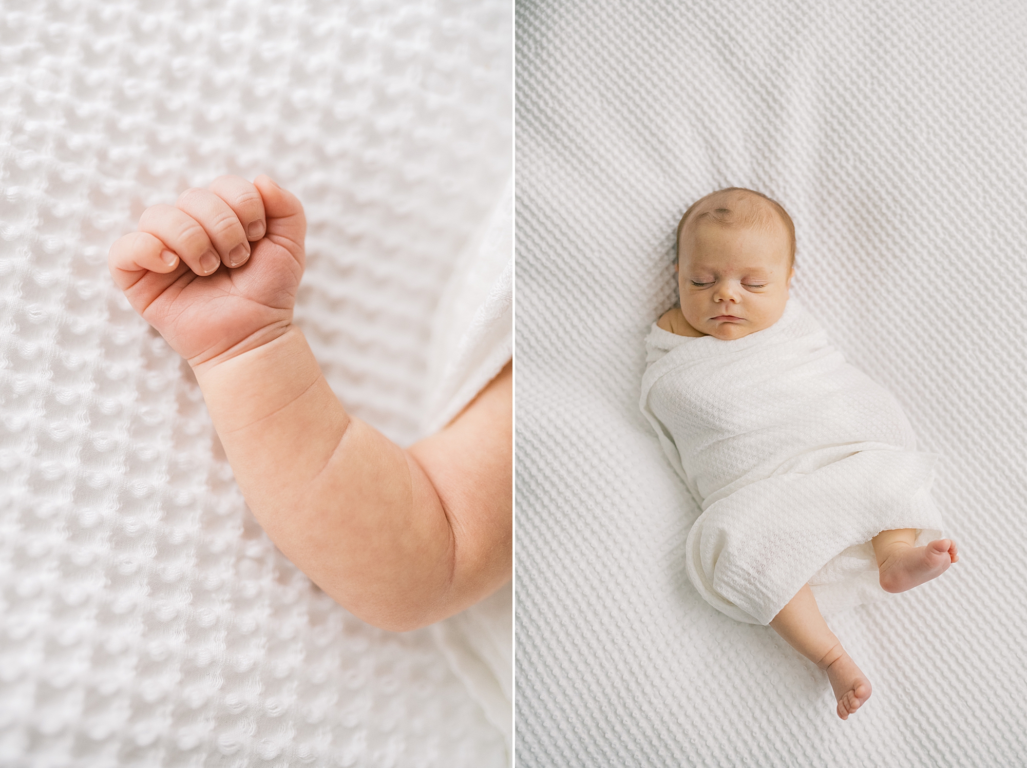 classic studio newborn portraits in white sets