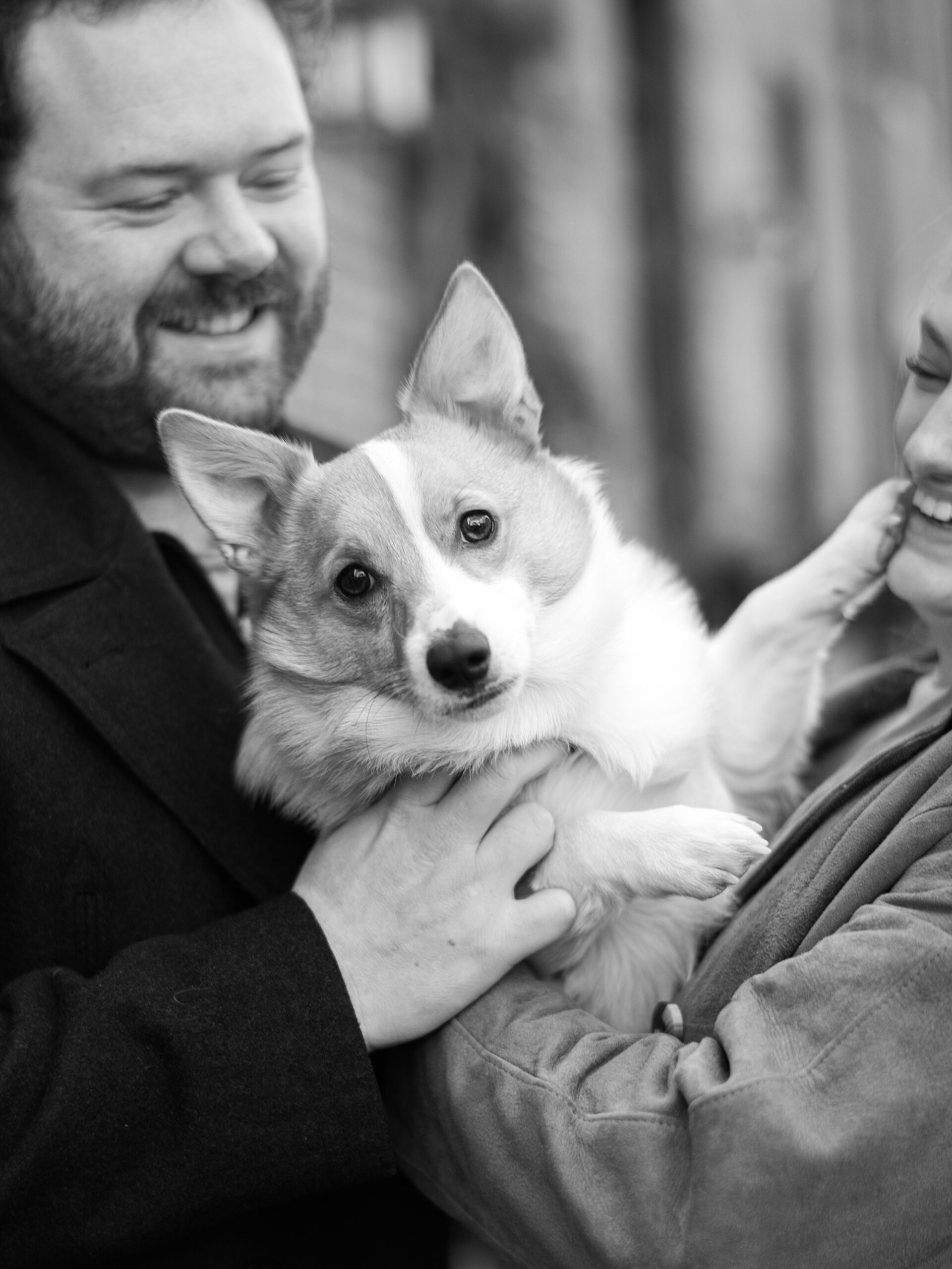 couple snuggles with dog during winter Baltimore engagement session