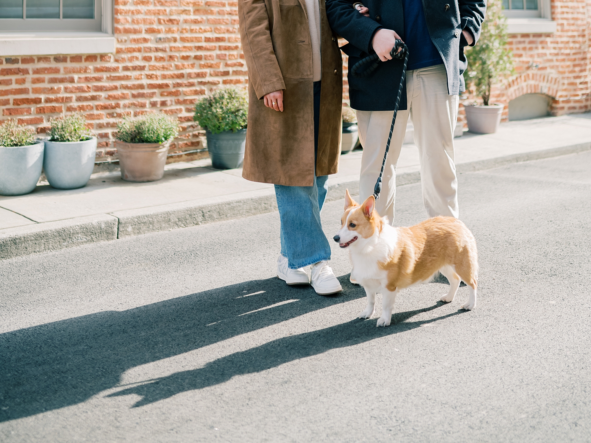 couple walks dog during winter Baltimore engagement session