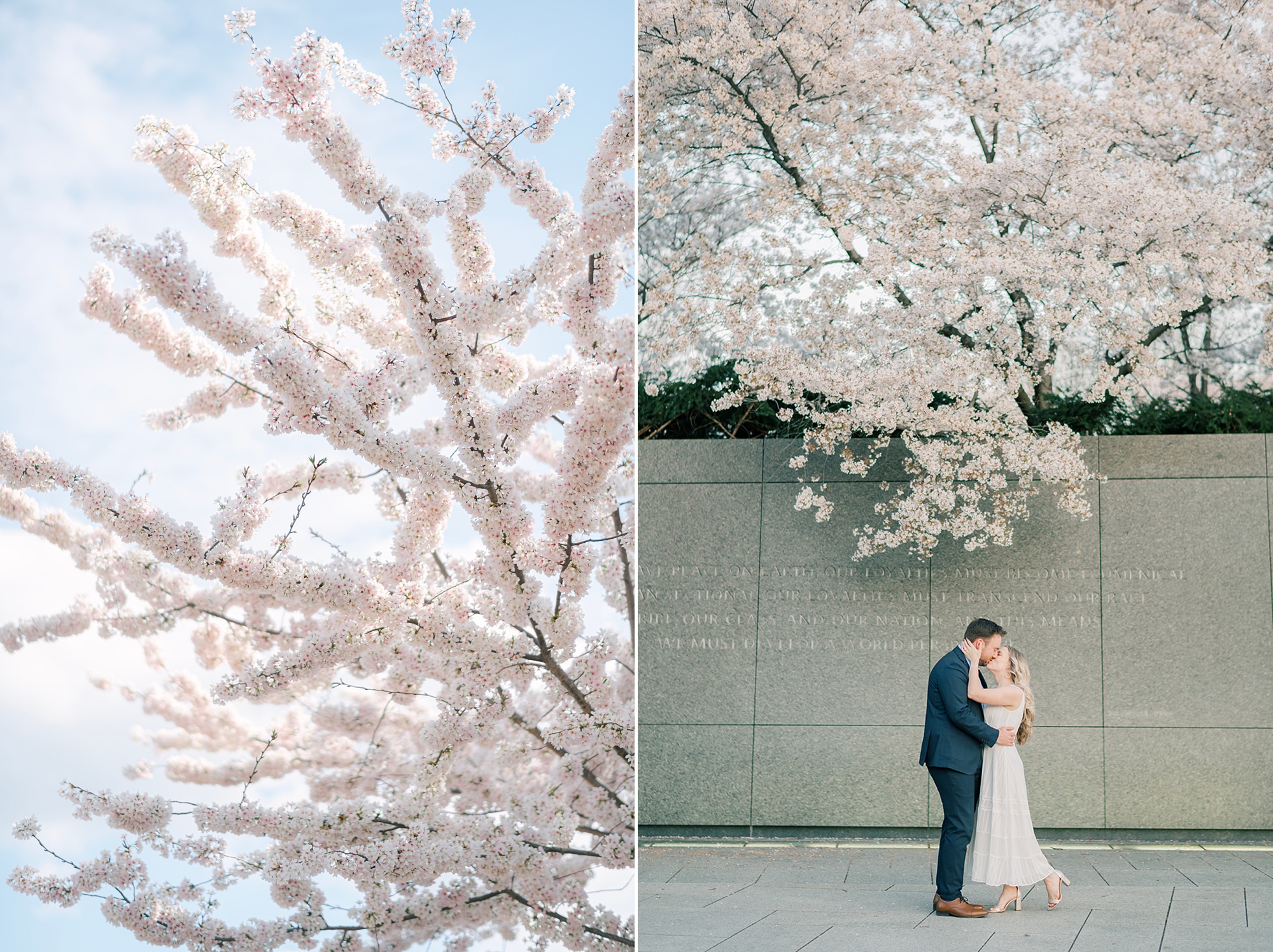 inspiration for DC cherry blossom portraits from DMV photographer Amanda Wose