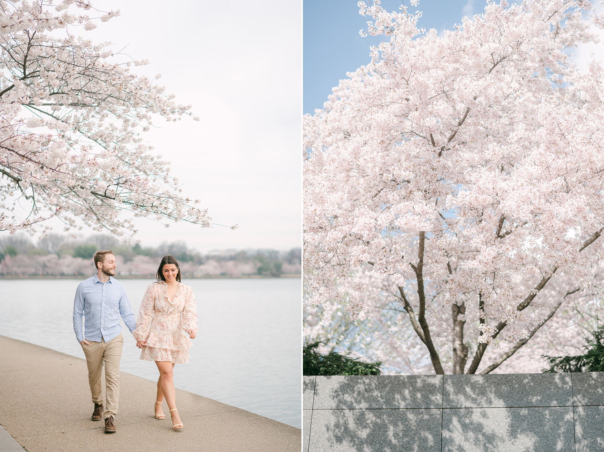 The ultimate DC cherry blossom portrait session planning guide for a stress-free session shared by DMV photographer Amanda Wose Photography