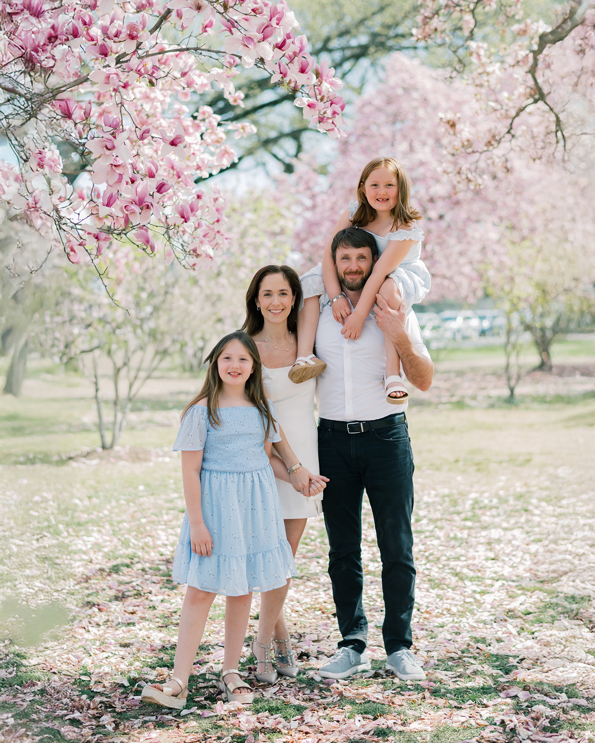 parents stand with two daughters under pink blossoms during spring photos in Washington DC