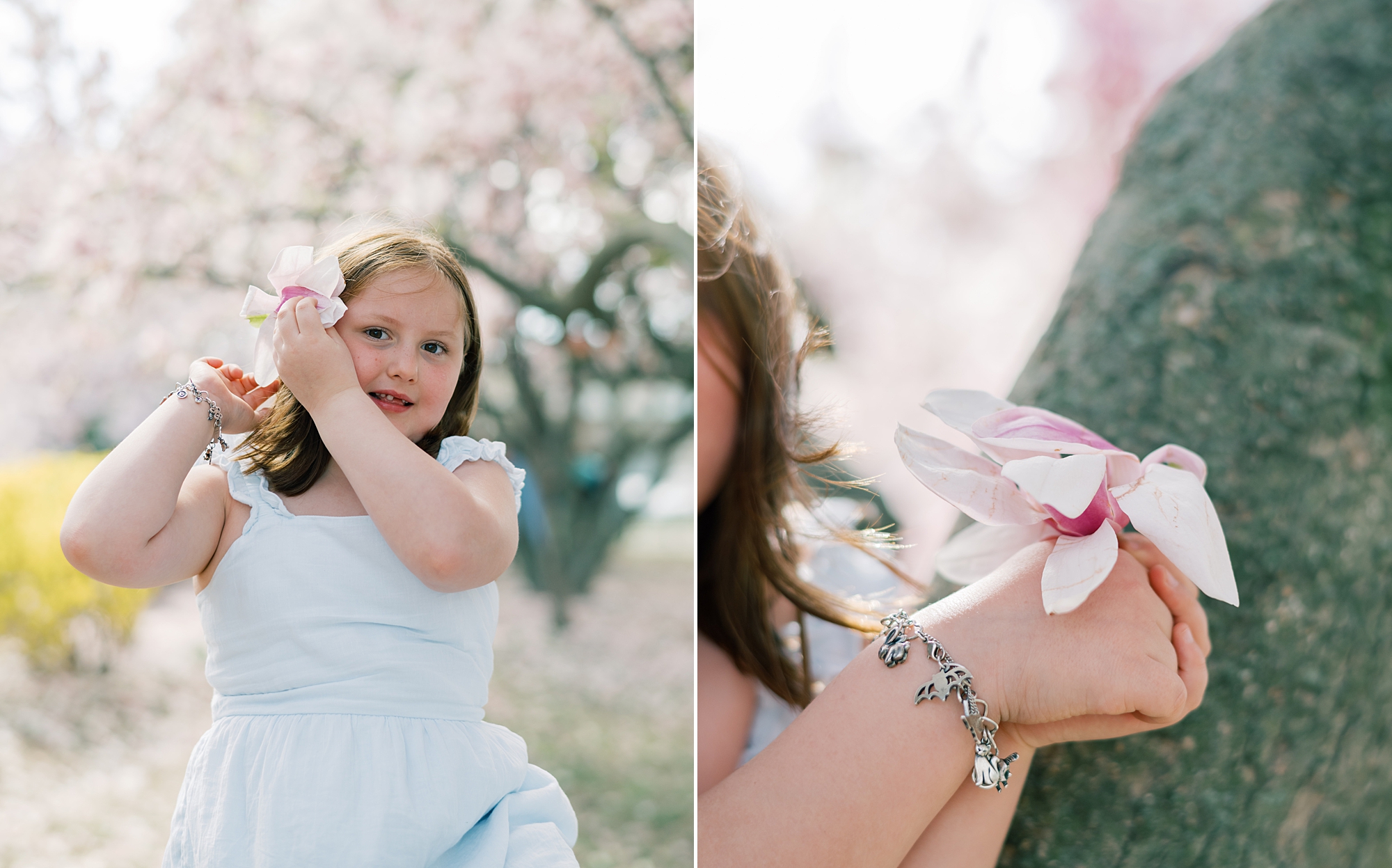 girl pushes flower behind her ears during cherry blossom family portraits in Washington DC
