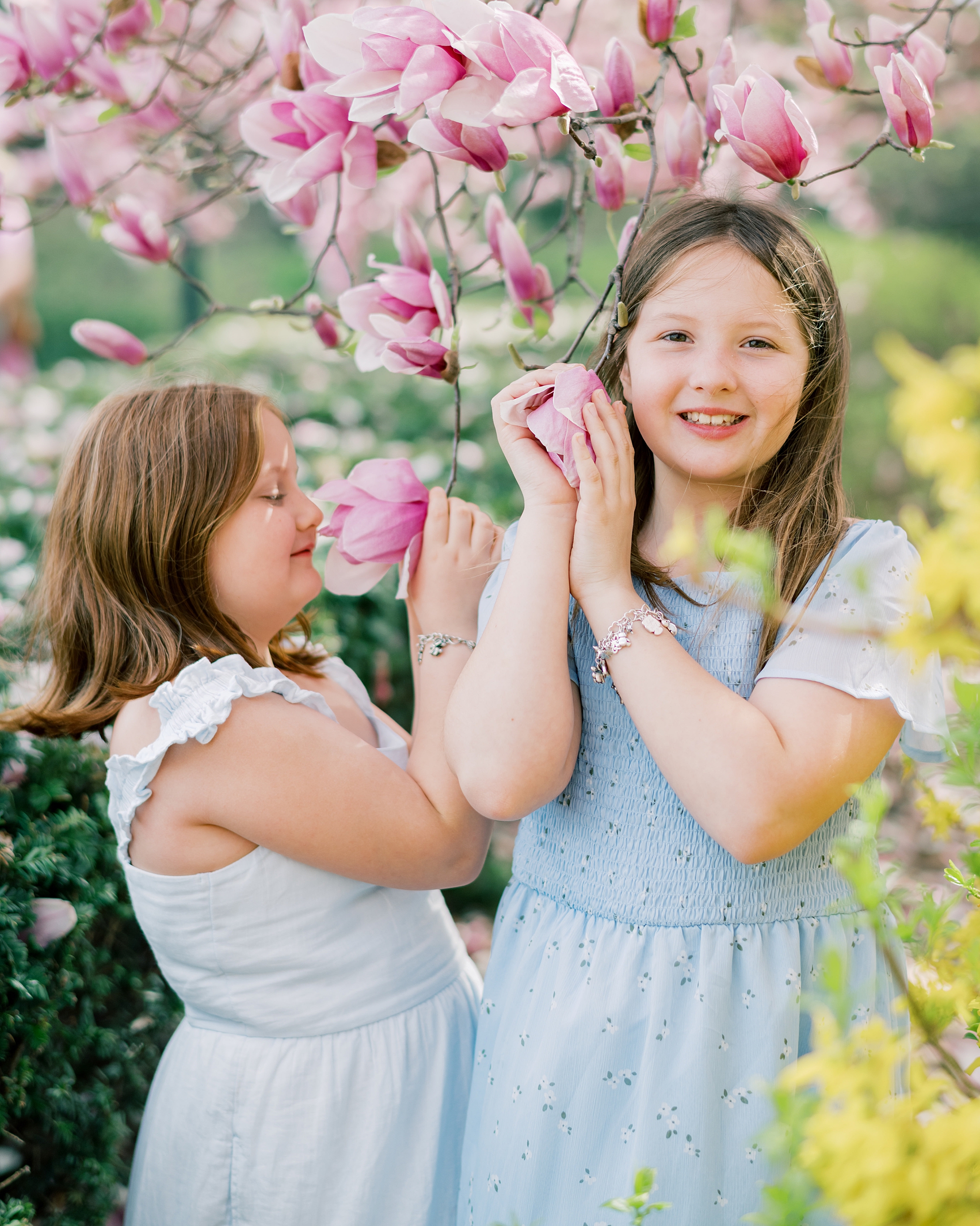 sisters play in trees during cherry blossom family portraits in Washington DC