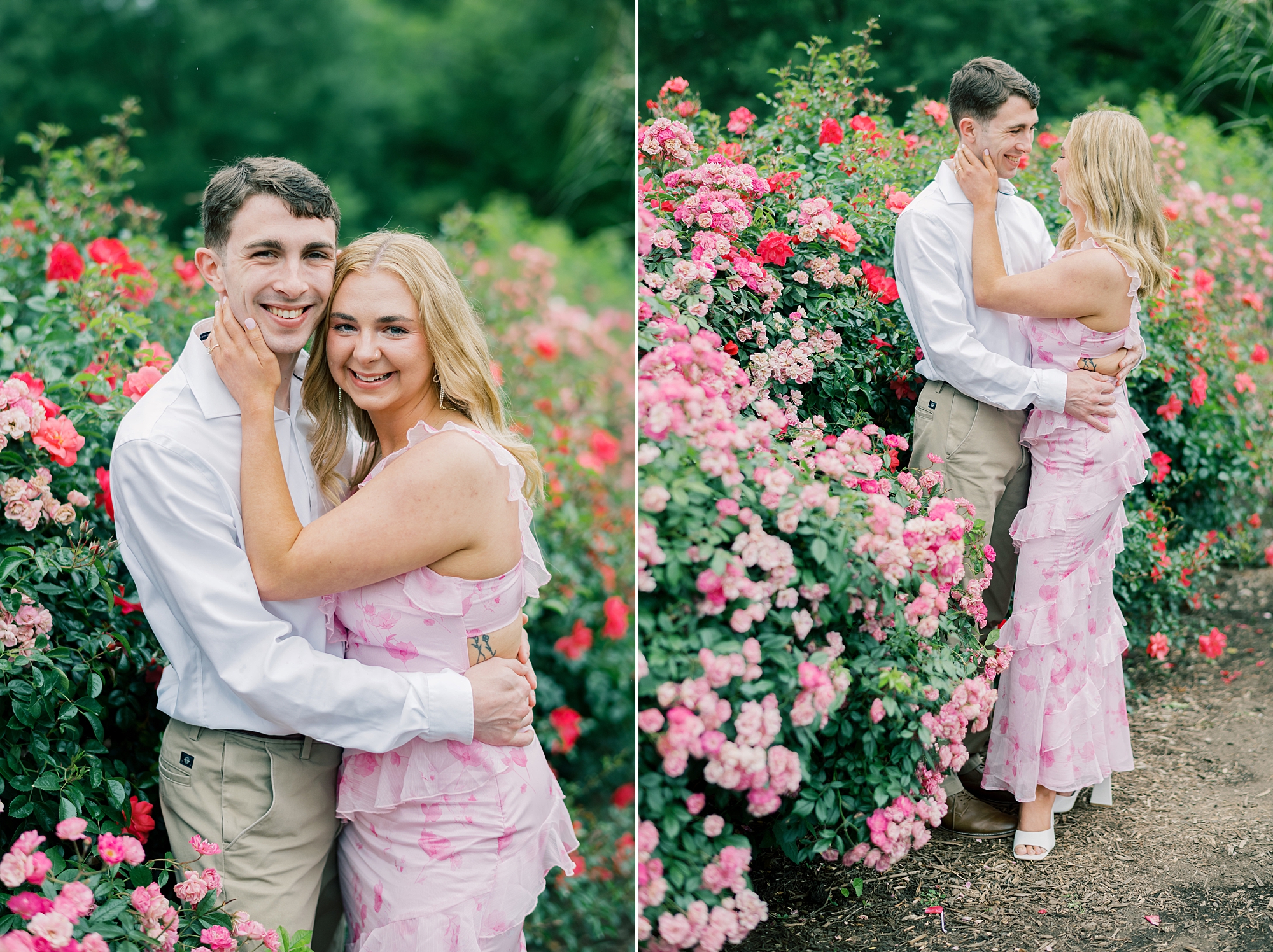 engaged couple poses by pink bush during garden engagement session in Arlington VA