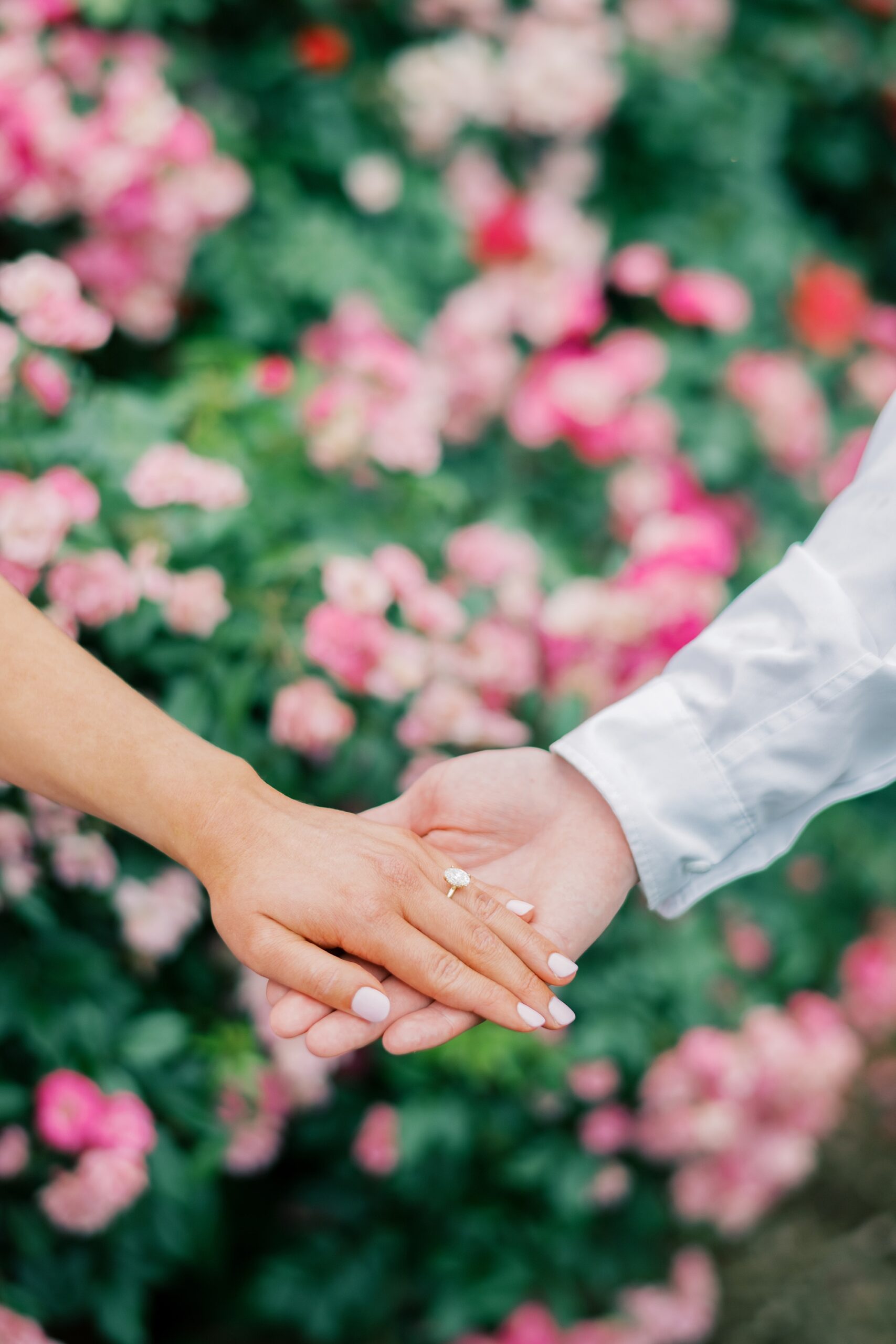 engaged couple holds hands in front of pink flowers during garden engagement session in Arlington VA