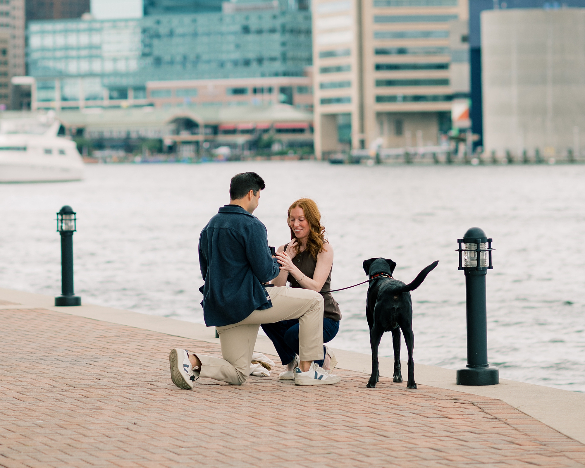 man kneels to propose to woman nest to their dog in the Baltimore inner harbor