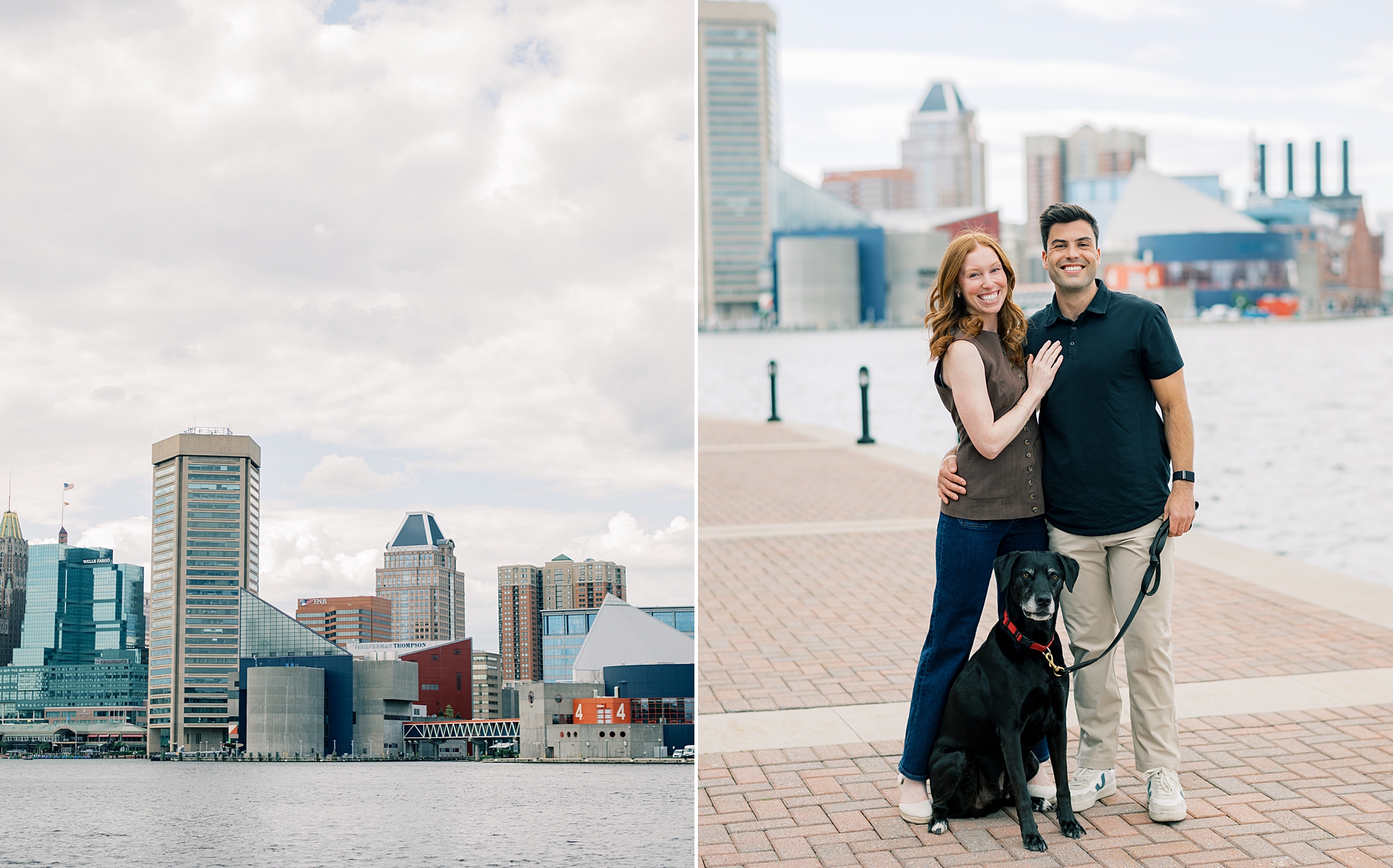 proposal in Baltimore Maryland for couple with black dog