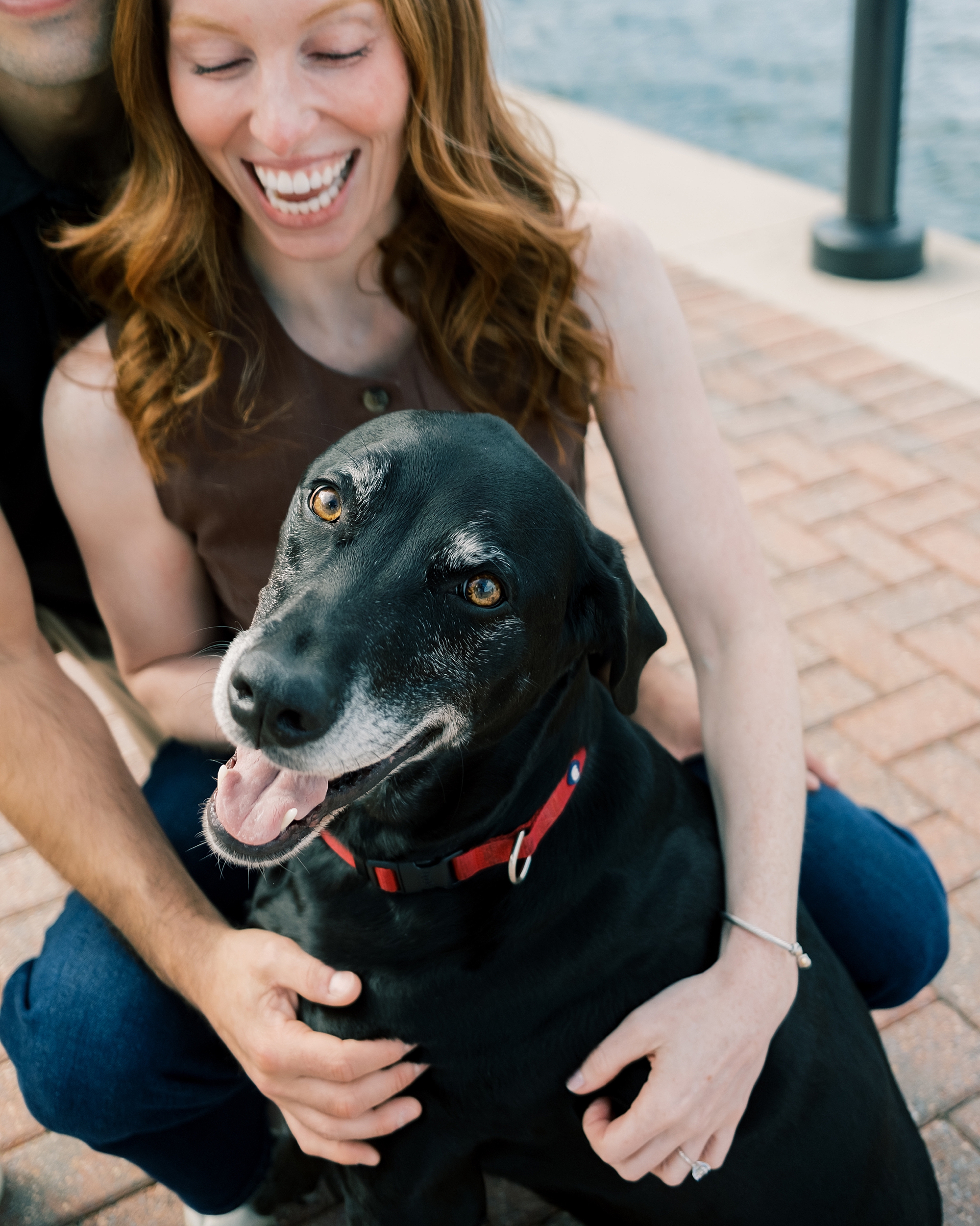 woman hugs black lab during Maryland engagement session
