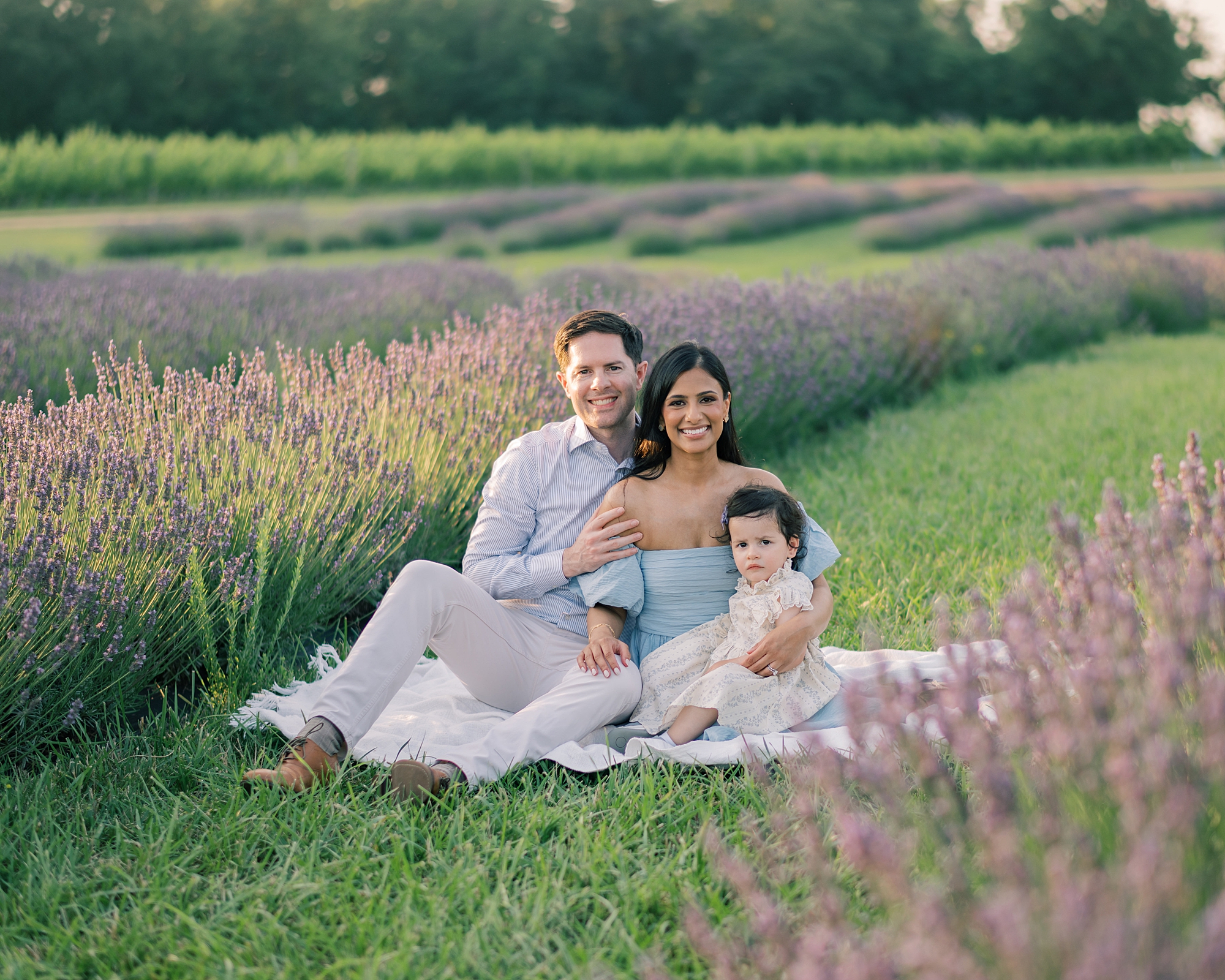 family sits on blanket in rows of lavender fields