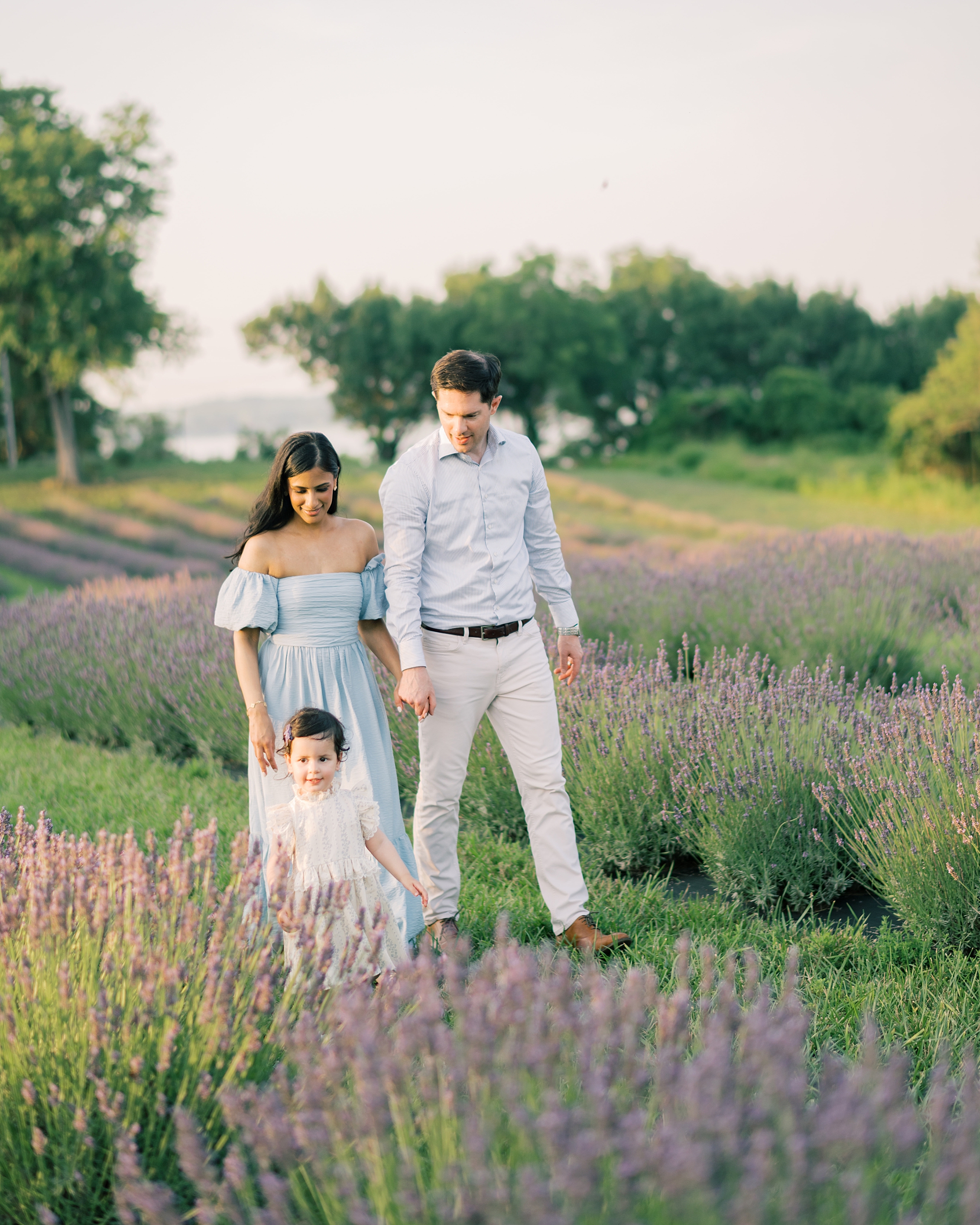 5 tips for lavender field family photos from Maryland family photographer