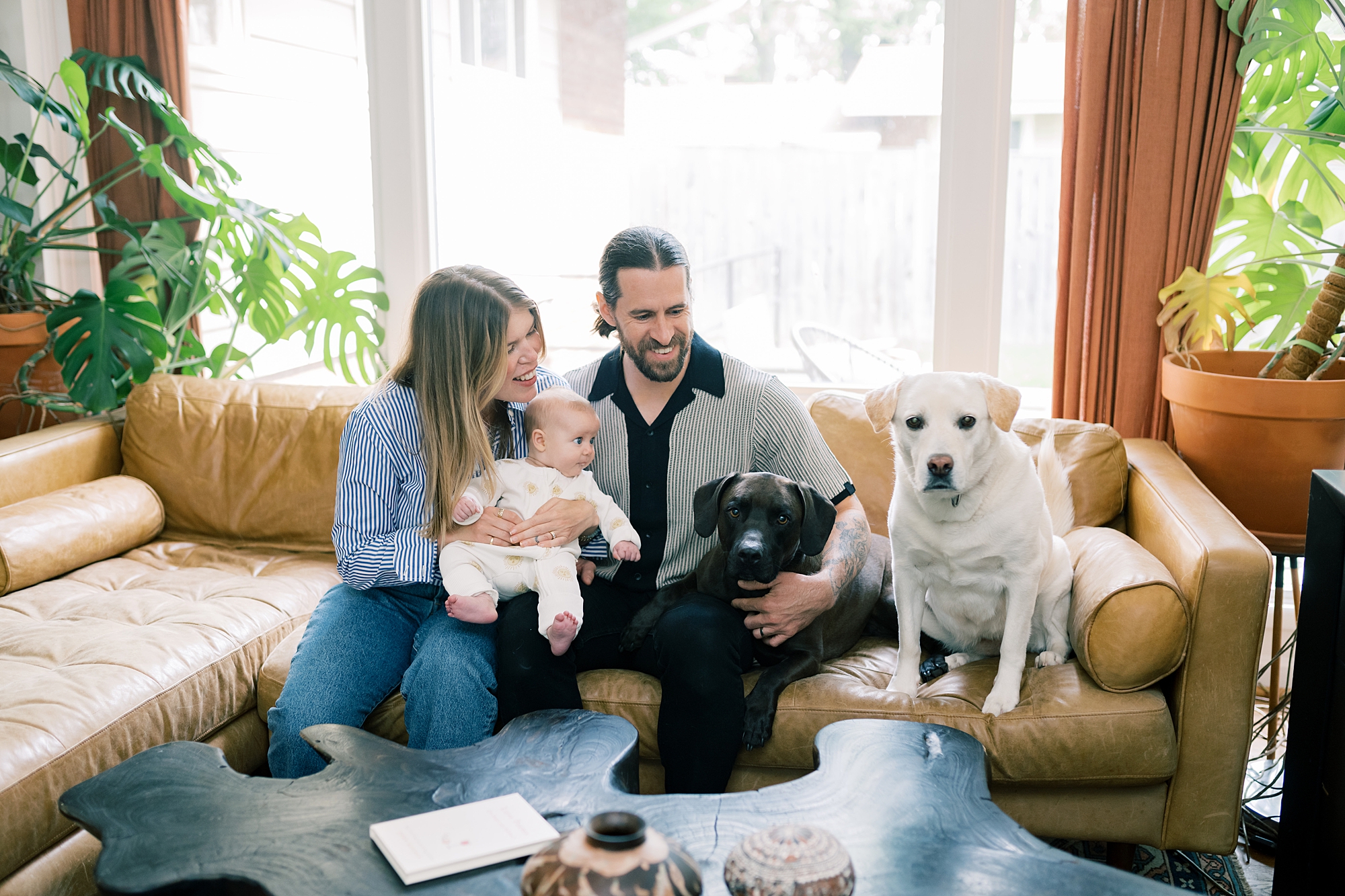parents smile playing with dogs and baby on couch in Washington DC home