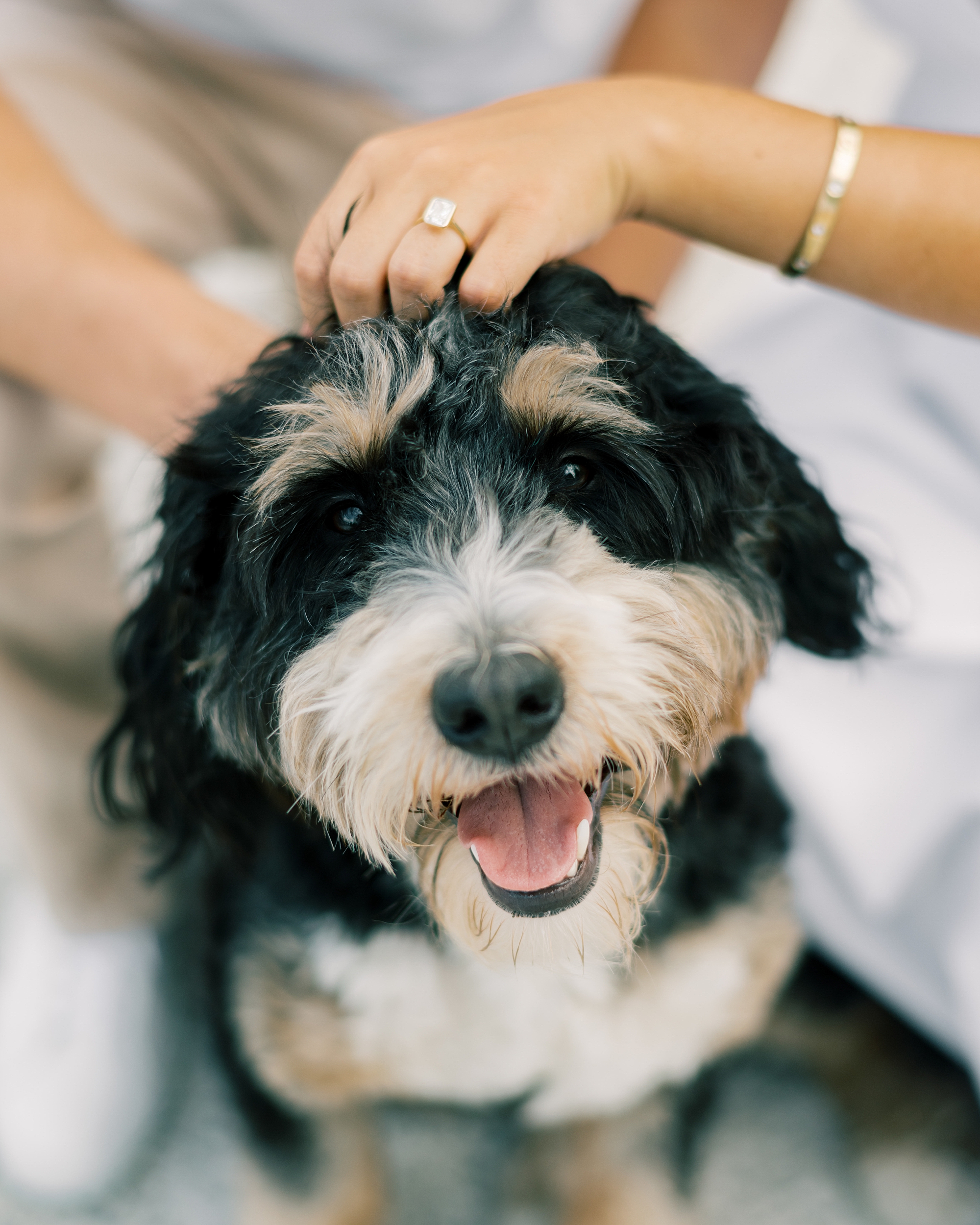 woman pets dog's head showing off engagement ring 