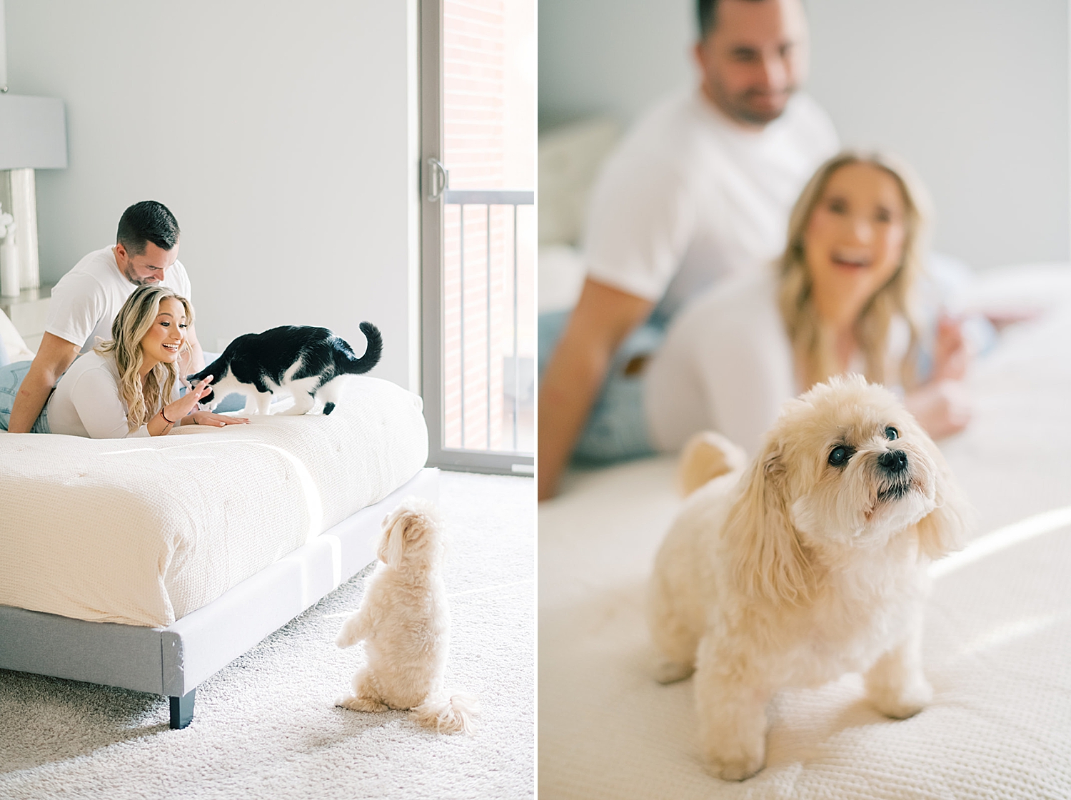 In-home engagement session with family pets