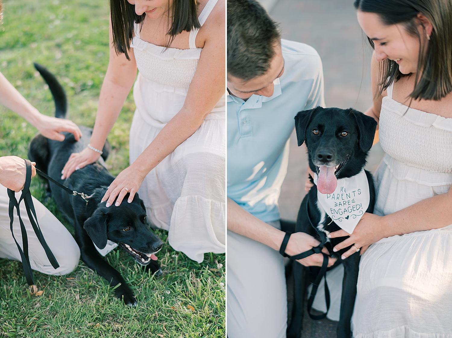 Baltimore engagement photographer shares 5 Tips for Including Your Dog in Your Engagement Photos