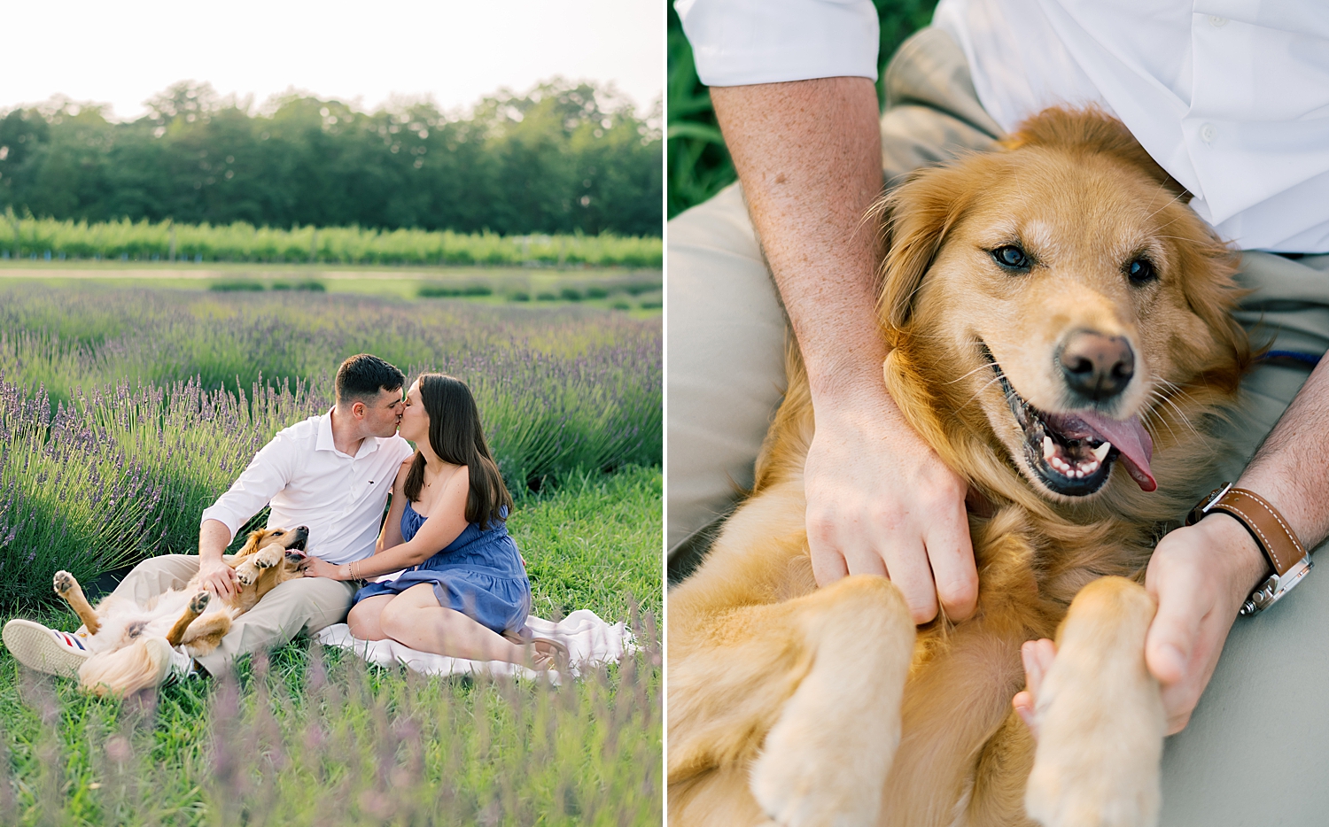 sweet and romantic engagement photos with dog 