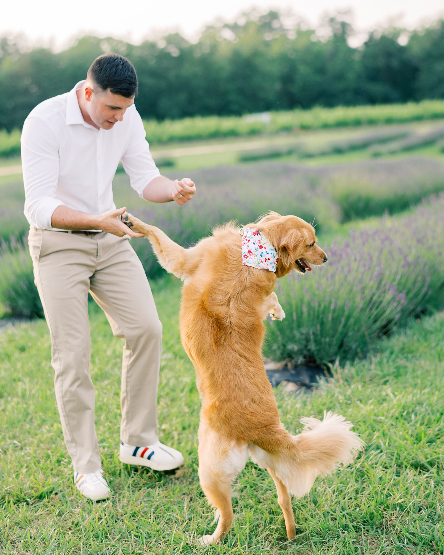 dog holding dog's paw