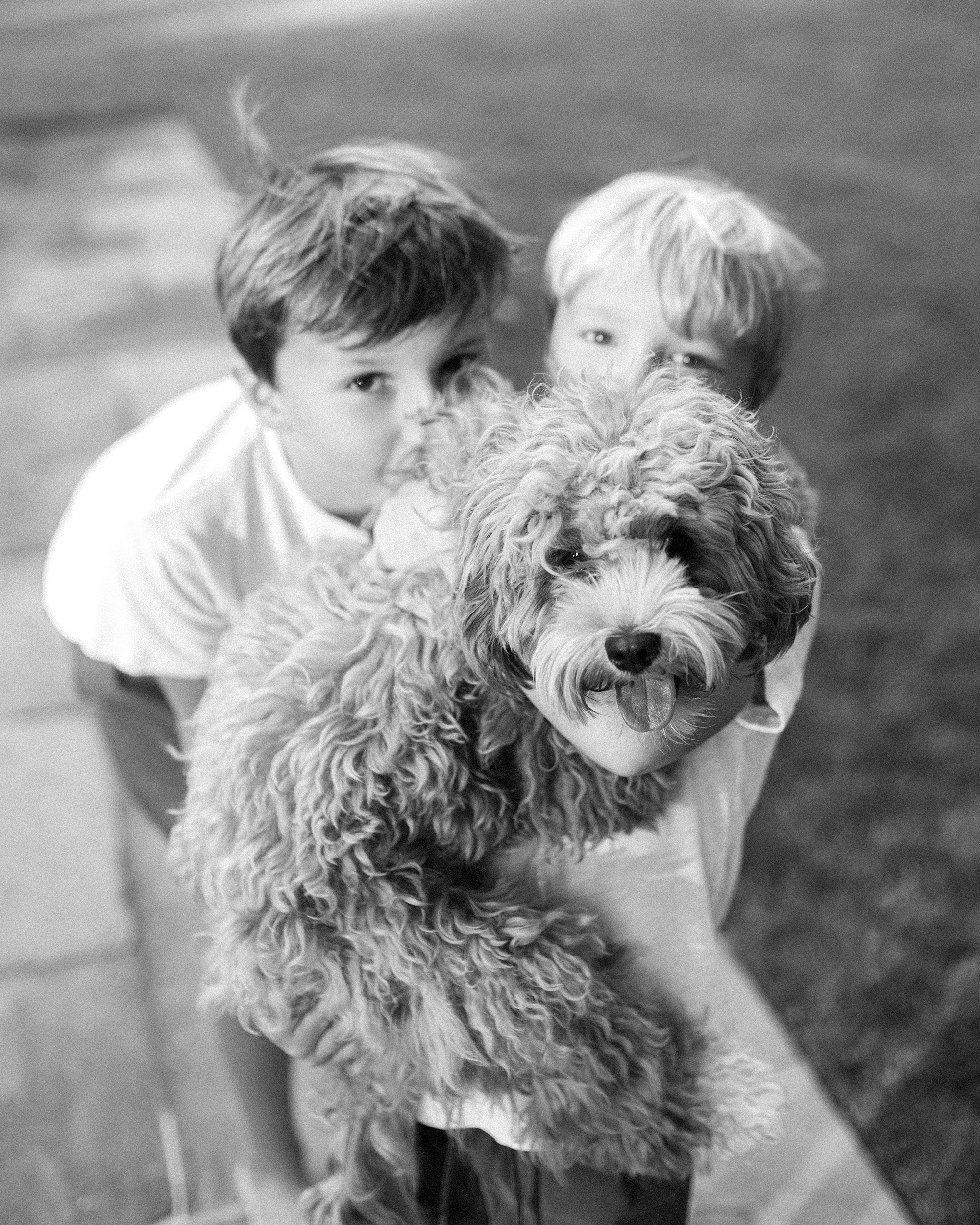 brothers hold their dog