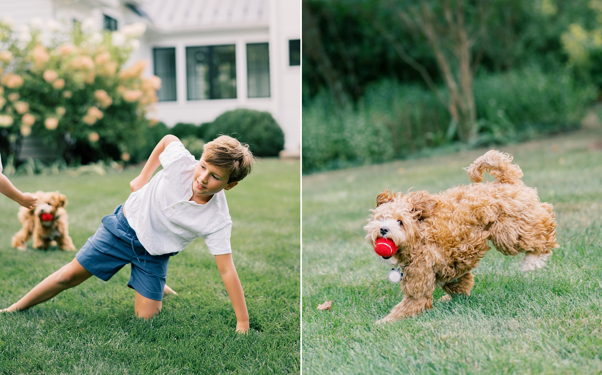 young boy plays with dog in yard during Relaxed Family Session at Home in Southern Maryland