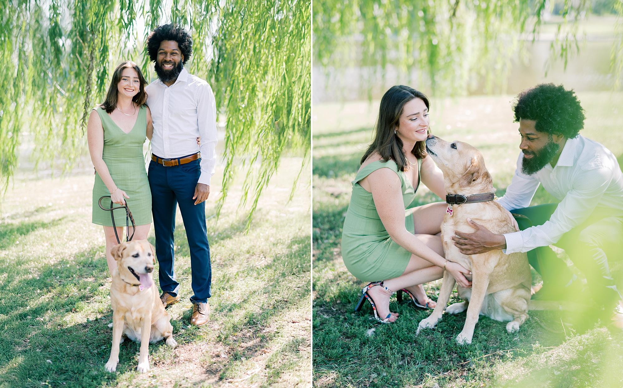 engagement photos with dogs 