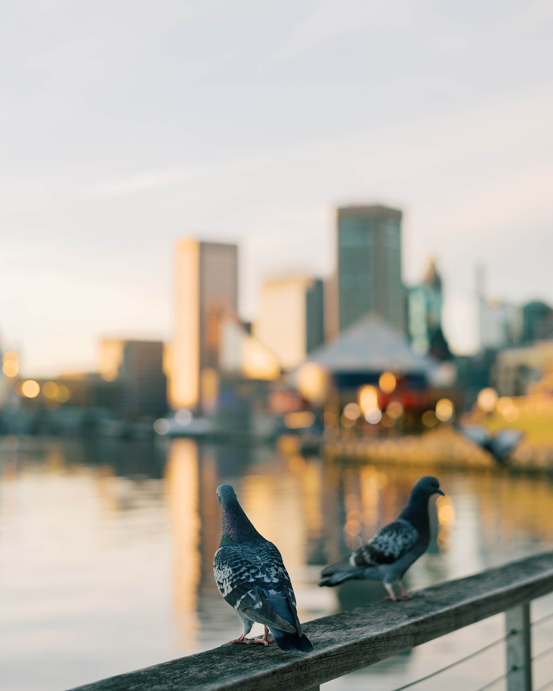 Inner Harbor in Baltimore, MD